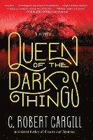 bokomslag Queen Of The Dark Things