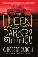 bokomslag Queen of the Dark Things