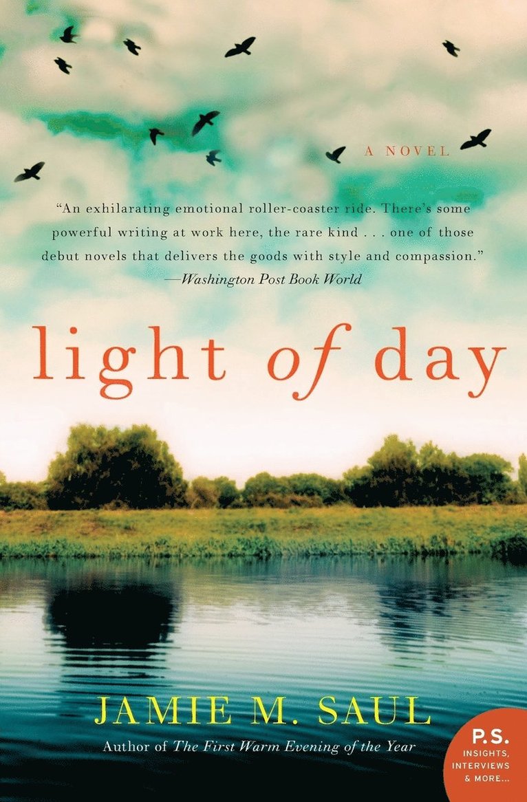 Jamie M Saul, Jamie M. Saul - Light of Day: A Novel, Häftad