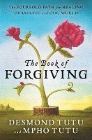 Book Of Forgiving 1