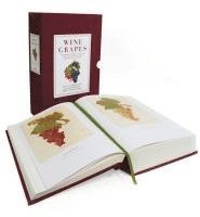 Jancis Robinson, Julia Harding, Jose Vouillamoz - Wine Grapes, Inbunden