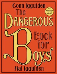 bokomslag Dangerous Book For Boys