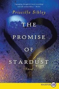 bokomslag The Promise of Stardust LP