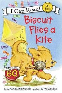 bokomslag Biscuit Flies a Kite