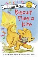 bokomslag Biscuit Flies a Kite