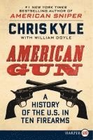 bokomslag American Gun: A History of the U.S. in Ten Firearms
