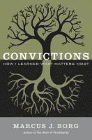bokomslag Convictions