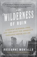 bokomslag The Wilderness of Ruin: A Tale of Madness, Fire, and the Hunt for America's Youngest Serial Killer