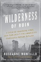 Roseanne Montillo - The Wilderness of Ruin: A Tale of Madness, Fire, and the Hunt for America's Youngest Serial Killer, Häftad
