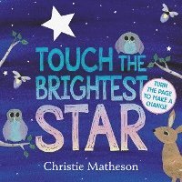 bokomslag Touch the Brightest Star Board Book