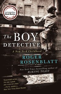 bokomslag Boy Detective