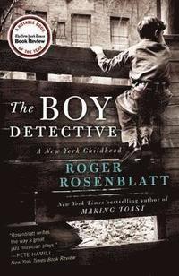 bokomslag The Boy Detective