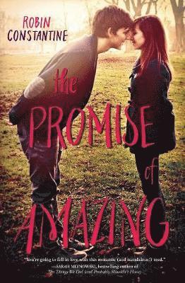 bokomslag The Promise of Amazing