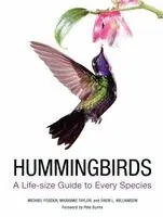 Michael Fogden, Marianne Taylor - Hummingbirds: A Life-Size Guide to Every Species, Inbunden