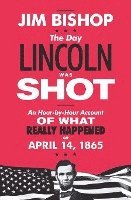 bokomslag Day Lincoln Was Shot