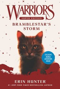 bokomslag Warriors Super Edition: Bramblestar's Storm