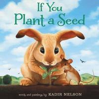 bokomslag If You Plant a Seed