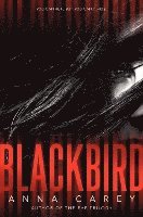 Blackbird 1