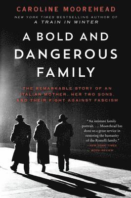 bokomslag Bold and Dangerous Family, A