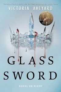 bokomslag Glass Sword