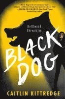 bokomslag Black Dog: Hellhound Chronicles