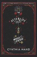 bokomslag The Afterlife of Holly Chase