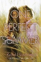 One Perfect Summer: Labor of Love and Thrill Ride