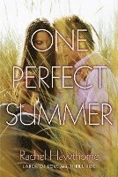 One Perfect Summer 1