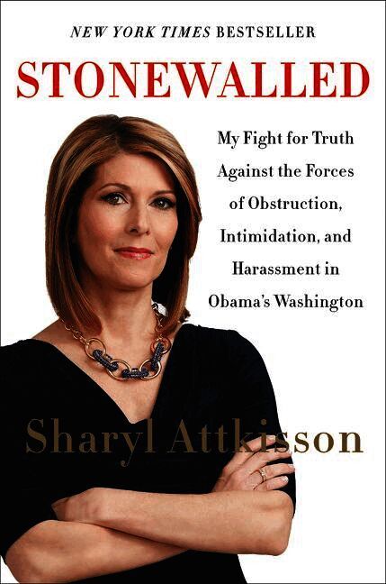 Stonewalled: My Fight For Truth Against The Forces Of Obstruction, Intimidation, And Harassment In Obama's Washington