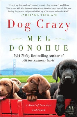 bokomslag Dog Crazy: A Novel of Love Lost and Found