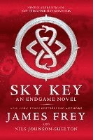 bokomslag Endgame: Sky Key