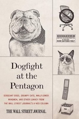 bokomslag Dogfight at the Pentagon