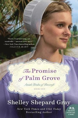 Promise of Palm Grove: The Amish Brides of Pinecraft - Book 1