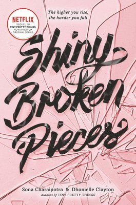 bokomslag Shiny Broken Pieces