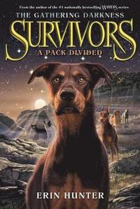 bokomslag Survivors: The Gathering Darkness #1: A Pack Divided