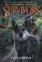 bokomslag Survivors: The Gathering Darkness #2: Dead Of Night