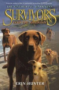 bokomslag Survivors: The Gathering Darkness #3: Into the Shadows