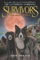 bokomslag Survivors: The Gathering Darkness #4: Red Moon Rising