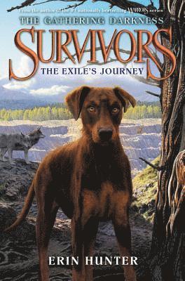 Survivors: The Gathering Darkness #5: The Exile's Journey 1
