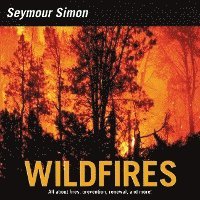 Wildfires 1