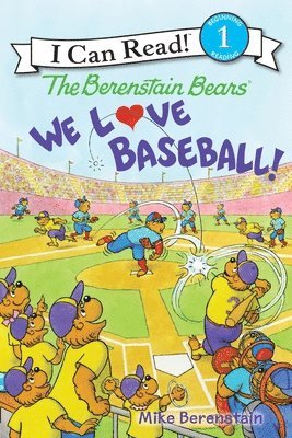 We Love Baseball!