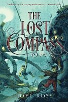 Lost Compass 1