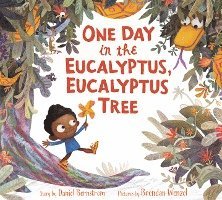 One Day In The Eucalyptus, Eucalyptus Tree 1