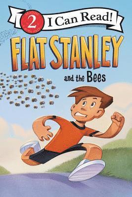 Flat Stanley And The Bees 1