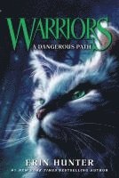A Dangerous Path 1