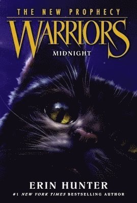 bokomslag Midnight