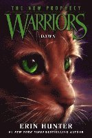 bokomslag Warriors: The New Prophecy #3: Dawn