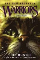 bokomslag Warriors: The New Prophecy 05: Twilight