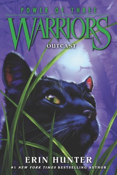 bokomslag Warriors: Power of Three #3: Outcast