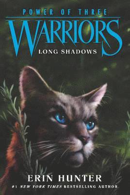bokomslag Warriors: Power of Three #5: Long Shadows